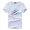 Moda Casual Masculina